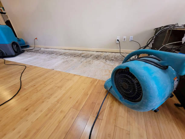Professional Water Removal technician working in Auburntown, TN